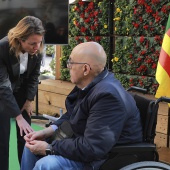 Día Internacional de la Discapacidad