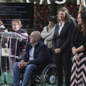 Día Internacional de la Discapacidad