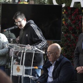 Día Internacional de la Discapacidad