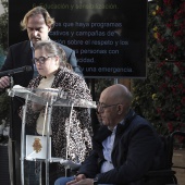 Día Internacional de la Discapacidad
