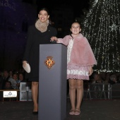Encendido luces Navidad