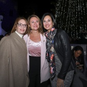 Encendido luces Navidad