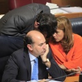 Les Corts Velencianes, Alberto Fabra