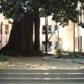 Les Corts Velencianes, Alberto Fabra