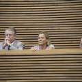 Les Corts Velencianes, Alberto Fabra