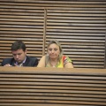 Les Corts Velencianes, Alberto Fabra