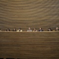Les Corts Velencianes, Alberto Fabra