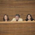 Les Corts Velencianes, Alberto Fabra