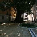 Les Corts Velencianes, Alberto Fabra