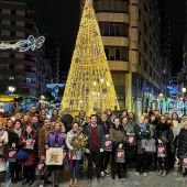 Castelló Espai Comercial