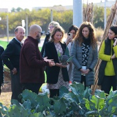 Castellón, 2024