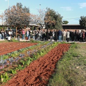 Castellón, 2024