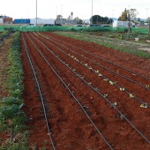 Castellón, 2024