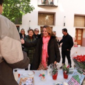 Castellón, 2024
