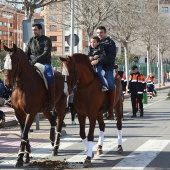 Festividad de San Antonio Abad