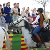 Festividad de San Antonio Abad