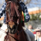 Festividad de San Antonio Abad