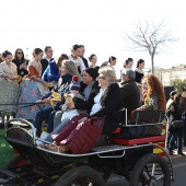Festividad de San Antonio Abad
