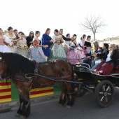 Festividad de San Antonio Abad
