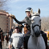 Festividad de San Antonio Abad