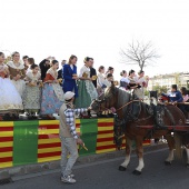 Festividad de San Antonio Abad