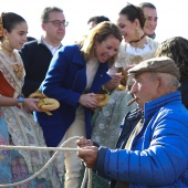 Festividad de San Antonio Abad
