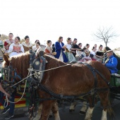 Festividad de San Antonio Abad
