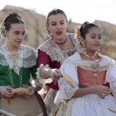 Festividad de San Antonio Abad