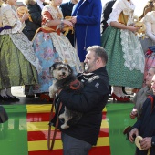 Festividad de San Antonio Abad