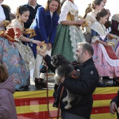 Festividad de San Antonio Abad