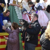 Festividad de San Antonio Abad