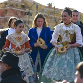 Festividad de San Antonio Abad