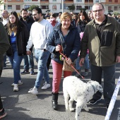 Festividad de San Antonio Abad