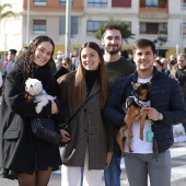 Festividad de San Antonio Abad
