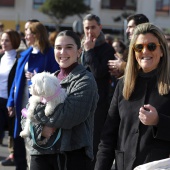 Festividad de San Antonio Abad