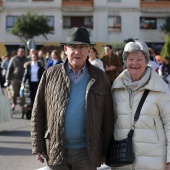 Festividad de San Antonio Abad