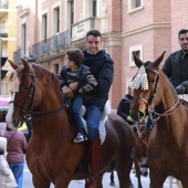 Festividad de San Antonio Abad