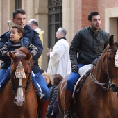 Festividad de San Antonio Abad