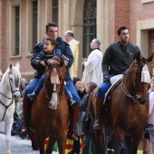 Festividad de San Antonio Abad