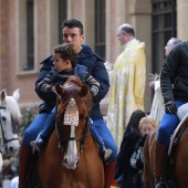 Festividad de San Antonio Abad