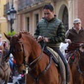 Festividad de San Antonio Abad