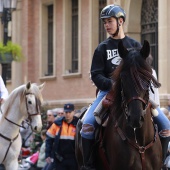 Festividad de San Antonio Abad