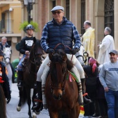 Festividad de San Antonio Abad