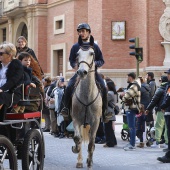 Festividad de San Antonio Abad
