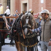 Festividad de San Antonio Abad
