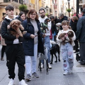 Festividad de San Antonio Abad