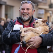 Festividad de San Antonio Abad