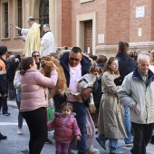 Festividad de San Antonio Abad