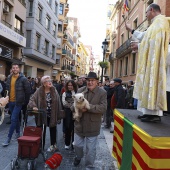 Festividad de San Antonio Abad
