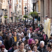 Festividad de San Antonio Abad
